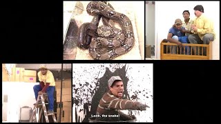 Leon Schuster  Snake prank：Most dangerous snake escapes in a pet shop [upl. by Airahs236]