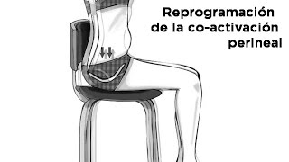 HIPOPRESIVOS Efectos de los Hipopresivos II Reprogramación Abdominal [upl. by Ahsel]