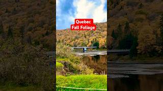 Fall Foliage TimeLapse 🍂 [upl. by Jeri]