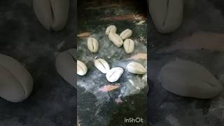 Diy cowrie shells😱How to make thisart viralshorts song cowrieshell [upl. by Nnylatsirk]