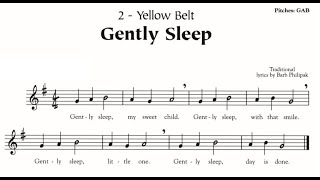 Yellow Belt Gently Sleep Recorder Karate [upl. by Sahcnip41]