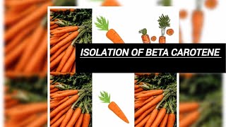 Isolation of beta carotene from carrots 🥕 chmistry msc video trending organic viral [upl. by Notkcorb]