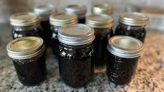 Making amp Canning Grape Jelly  Water Bath Canning  3 Ingredients [upl. by Kamerman401]