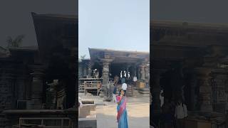 1000 pillar temple in Warangal  Warangal diaries [upl. by Inor]