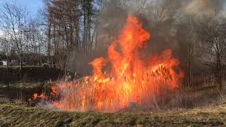 Field crew POV Burning a Phragmites basin for Invasive Species Control in Michigan [upl. by Farika222]