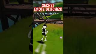 Secret Emote Glitches in Fortnite Testing Myths Too 👀 [upl. by Dhumma]