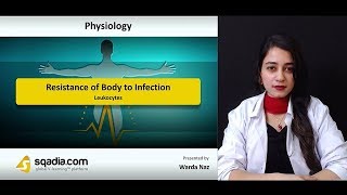 Resistance of Body to Infection  1 Leukocytes  Physiology Online Lectures  VLearning™ [upl. by Eimak298]