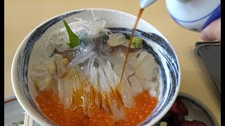 Dancing Squid Bowl Katsuika Odoridon at Hakodate 活イカの踊り丼 函館 [upl. by Tadeo299]