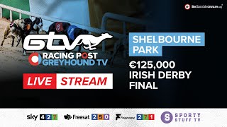 2023 Irish Derby Final  Live Greyhound Racing [upl. by Isdnyl532]