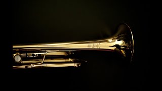 Yamaha TRUMPET YTR 8310 z tested and personal overlook by GABRIEL OSCAR ROSATI  august 2024 [upl. by Idona]