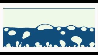 Lattice Boltzmann Method LBM simulation  Nucleate boiling [upl. by Anej]