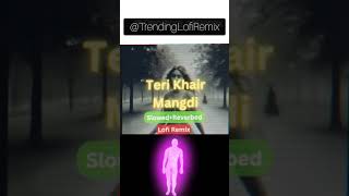 Teri Khari Mangdi Shorts New Video Slow amp Reverb lofi music [upl. by Ayamat973]