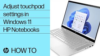 How to adjust touchpad settings in Windows 11  HP Notebooks  HP Support [upl. by Aleehs]