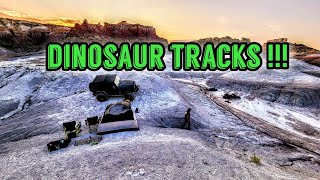 We Found Dinosaur Tracks in Wyoming [upl. by Ariela]