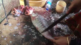 FISH CUTTING SKILLS  Mizo Woman [upl. by Aztilem730]