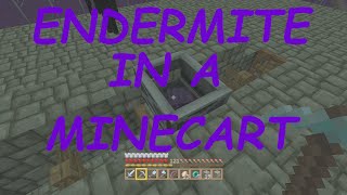 How to Catch an Endermite in a Minecart [upl. by Scotney]