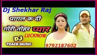 Lagta Ki Pagal Kadi Gori Tohar Pyar Dj Mixx Song Dj Shekhar Lucknow 9792187602 [upl. by Bibeau]