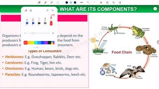 Our environment  what is Ecosystem Biotic Abiotic components class X biology [upl. by Ajiak]