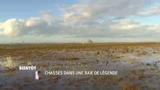 Chasses dans une baie de légende [upl. by Simdars]