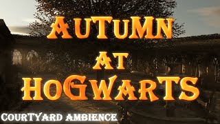 Harry Potter  Experience MAGIC at Hogwarts Courtyard [upl. by Donetta]