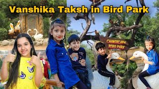 Indian Shfa in Bird Park  Indian Shfa cartoon show  Indian Shfa [upl. by Anaeerb146]