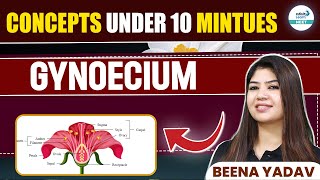 Gynoecium Simplified NEET 2025 Concepts in Just 10 Minutes  InfinityLearnNEET [upl. by Fowkes36]