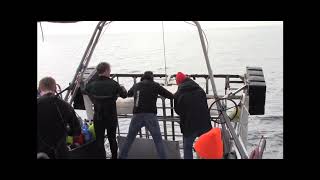 wwwSharkDiveAdventurescom  Cage Dive with Great White Sharks [upl. by Eidac]