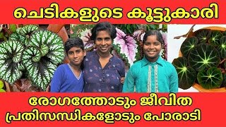 Largest Begonia collections in Kerala  How to grow and propogate Begonia Amazing Begonia plants [upl. by Berni]