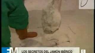 REPORTAJE DE CASA LUCAS EN TELEVISION ESPAÑOLA [upl. by Auhsohey437]