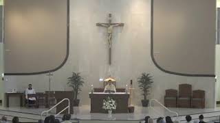 St John the Evangelist Catholic Church Boca Raton FL Thirtythird Sunday in Ordinary Time [upl. by Anitserp]