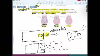 EXOCRINE GLANDS AND MACROSCOPIC TERMS [upl. by Kristan282]