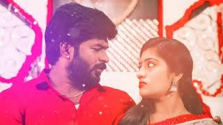 💕Idhayathai Thirudathey serial 💕Kona kondakkari kuthara 💘Roman💞Tamil song 💕 whatsapp status 💕 [upl. by Ynffit]