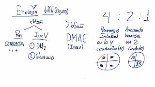 4 RETINOPATIA DIABETICA [upl. by Laeno]