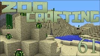 Hidden Desert Gems 🐘 Zoo Crafting Episode 61 [upl. by Renard800]