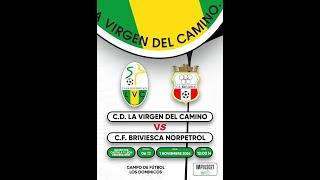 Resumen CD Virgen del Camino  CF Briviesca [upl. by Aneleh]