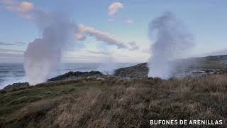 Bufones de Llanes  Pría Arenillas y Santiuste [upl. by Hugibert]