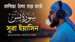 Surah Yaseen سورة يس  Most Beautiful Heart Touching Quran Reaction  Rahaber yaseen [upl. by Llemij]