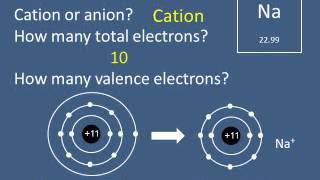 110 2 Ions and the Octet Rule [upl. by Arat]