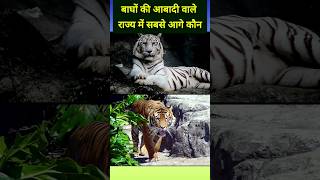 बाघों की आबादी वाले राज्य में सबसे आगे कौन  What Is The Tiger Population In India 🔥 tiger shorts [upl. by Colan]