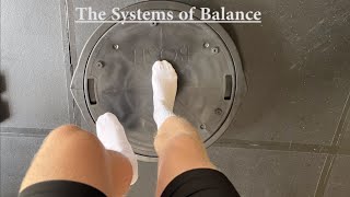 How Balance Works The Vestibular System Somatosensory System amp Visual System Balance Explained [upl. by Daley515]