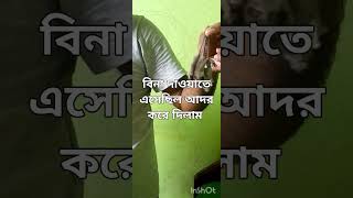 বিনা দাওয়াতে এসেছিল তাদের কে একটু আপ্যায়ন করলাম [upl. by Anikal]