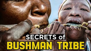 Hidden secrets of Bushman tribeBushman tribeunder shadow [upl. by Assilim93]