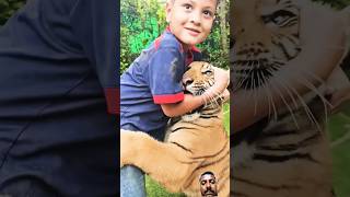 Naughty Kid Playing With Bengal Tiger 🐯 🐯 🐯 Nouman Hassan [upl. by Matthia121]