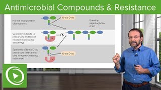 Antimicrobial Compounds amp Resistance – Microbiology  Lecturio [upl. by Patience]