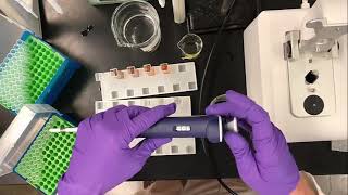 Enzyme Activity Assay for Polyphenol Oxidase PPO [upl. by Lukas221]