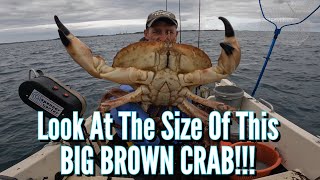 BIG CRABS amp BIG LOBSTERS 2 Weeks Fishing on the SEABED [upl. by Ody]