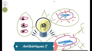 🔵Généralités sur les Antibiotiquesgeneralities of antibiotics [upl. by Pavlov]