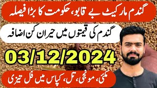 Wheat Price Today  Munji Kapas Makai Til Sarson Gandam Rate  Galla Mandi Rates  Zaraat زراعت [upl. by Trilby]