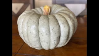 My Jarrahdale Blue Pumpkin  The Moody Foodie [upl. by Lowry]