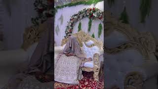 Kashmiri bridal cinematic marriage  wazwan in kashmir  marriage gareebi wedding shortsfeed [upl. by Madora877]